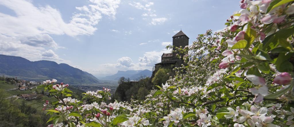 Hotel Zum Tiroler Adler Eksteriør billede
